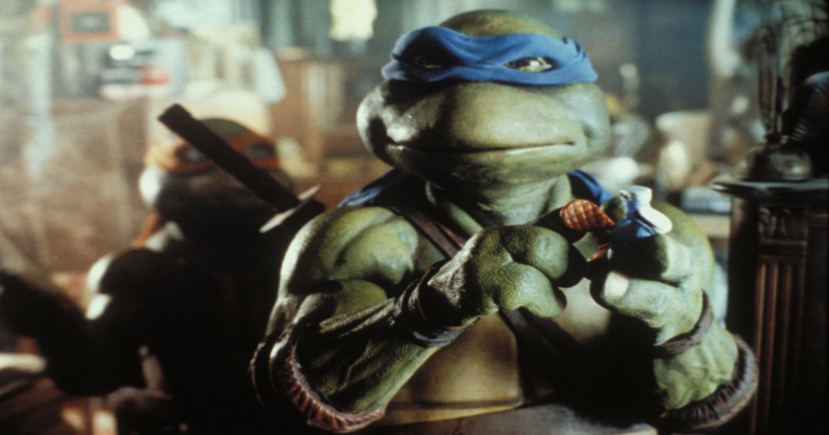 Leonardo of The Teenage Mutant Ninja Turtles 