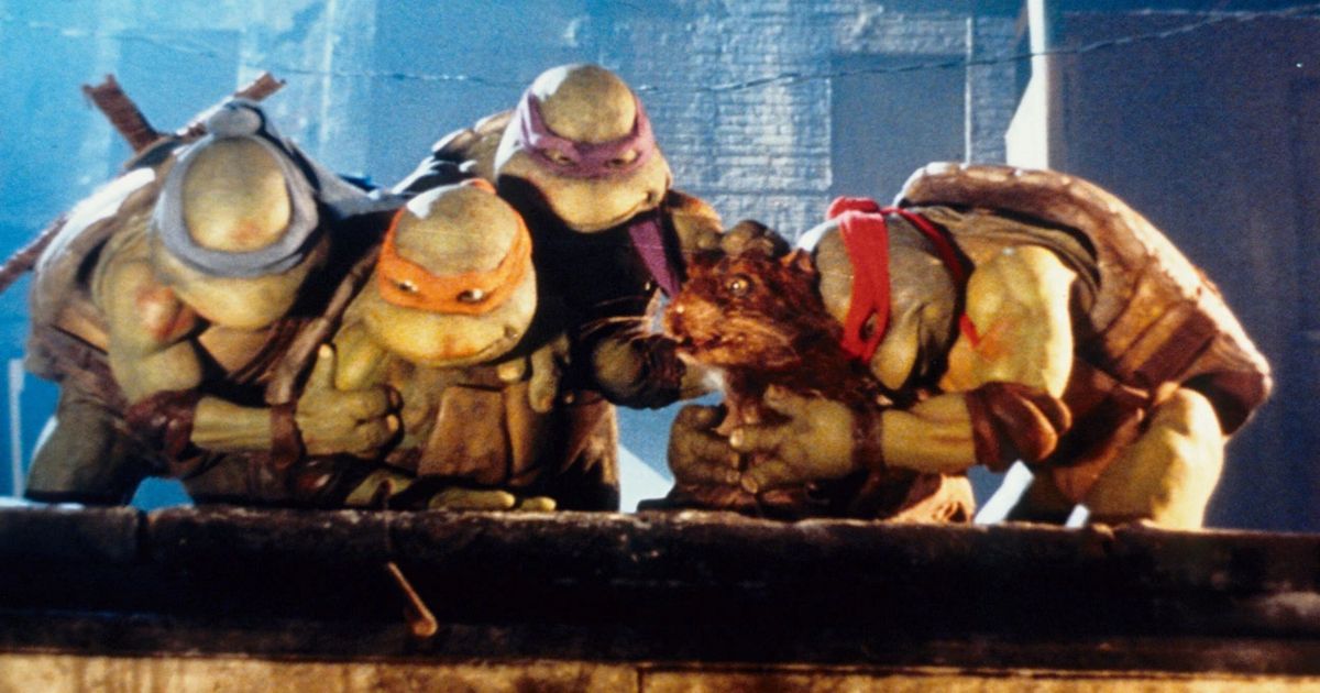 The Teenage Mutant Ninja Turtles Gather Together